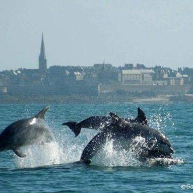 Le Clos Boheme Apartman Saint-Malo Kültér fotó